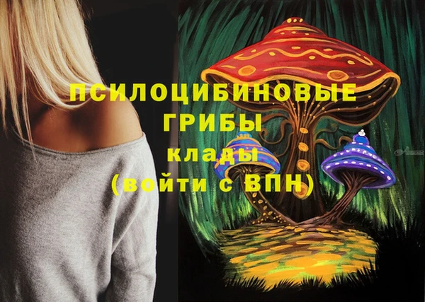прущая мука Бугульма