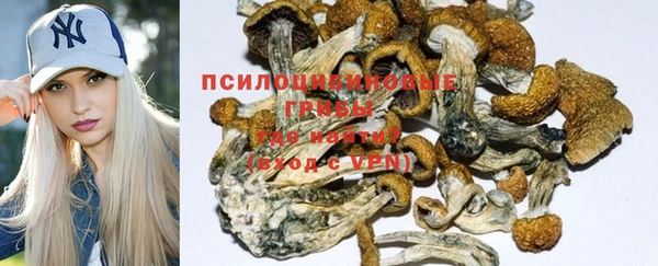 героин Бородино