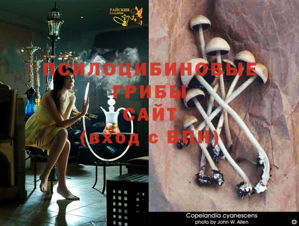 трава Бронницы
