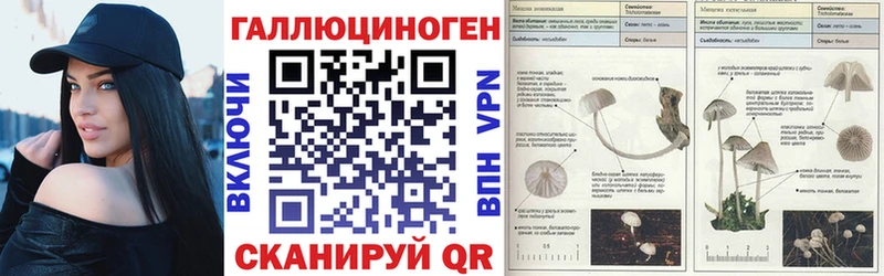 хочу   Бузулук  Галлюциногенные грибы MAGIC MUSHROOMS 